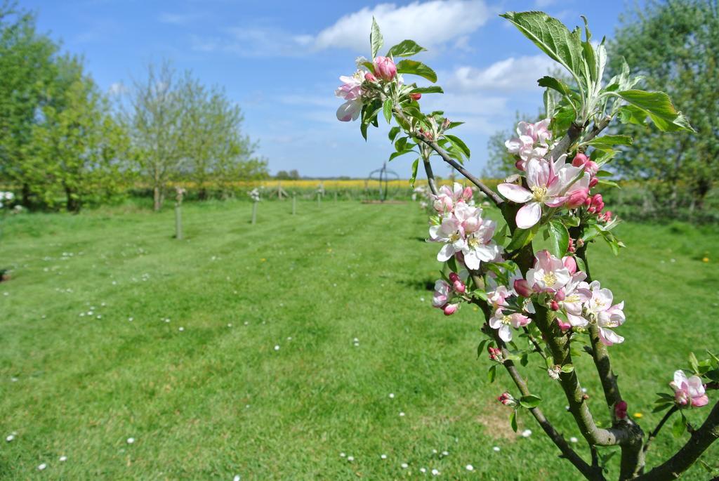 Frith Farm House Cottages Newnham  Quarto foto